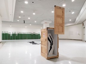 Julie Oh’s installation Sesame, open yourself is on display at Kenderdine Art Gallery until Aug. 30, 2022.