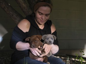 Courtney George, a volunteer with Moose Jaw rescue Flirting With Fido, a Moose Jaw-based dog rescue, is fostering two Mastiff puppies who were among the 41 stray dogs volunteers rescued from a looming kill order in a northern community this weekend.