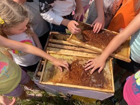 Young campers at Farm One Forty learn about beekeeping. The Farm Camp is connecting kids with where their food comes from. (Submitted: Arlie LaRoche)