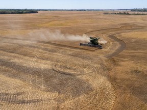 Tricia Dery cuts into a field of wheat as the 2022 harvest season begins for farmers across Saskatchewan on Aug. 8, 2022.