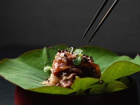 At Toronto's Aburi Hana, chef Ryusuke Nakagawa's cooking "is deeply personal and intricate but never overwrought."