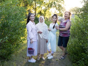 Rejna Ahmadi, Zubida Yousfi, Shakiba Ahmadi and Sepideh Oveysifar stand for a photo with their basket of sour cherries outside Saskatoon on Aug. 9, 2022.
