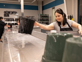 Nazanin Yousefi washes plant pots at the newly renovated Cosmo Industries day program building.