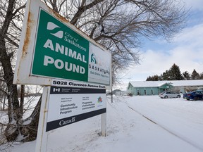 City council will vote later this month on a proposal to increase funding for the SPCA to run Saskatoon's animal pound in 2023. The organization last year told council that a four-year contract signed in 2019 has failed to cover the full costs of operating the service,  causing the SPCA to dip into its donor funds. Photo taken in Saskatoon, Sask. on Tuesday, November 8, 2022. (Saskatoon StarPhoenix / Michelle Berg)