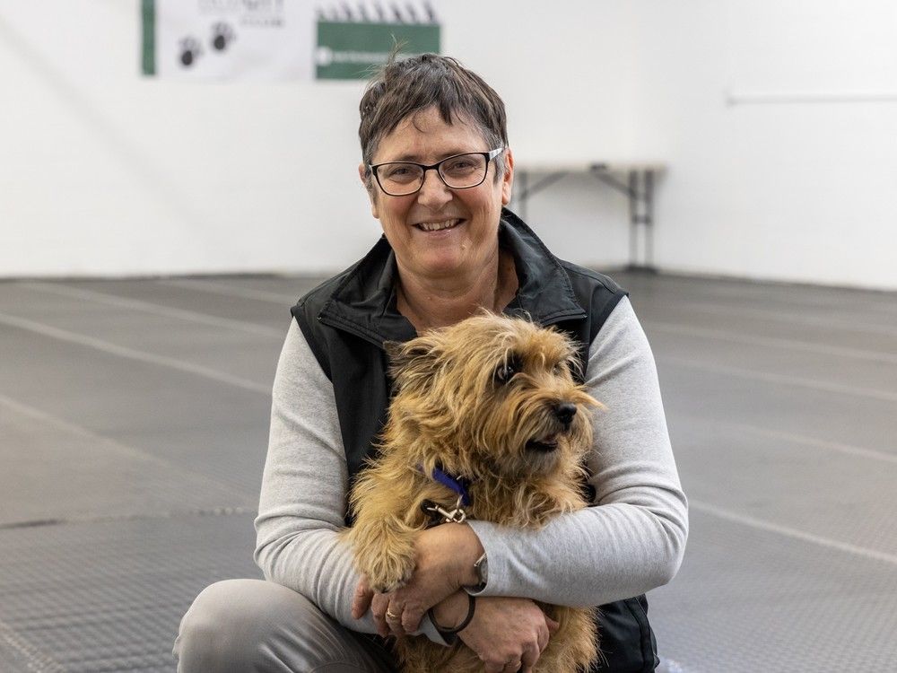 Saskatoon kennel club finds permanent space to offer more dog training