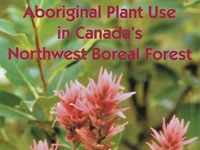 Aboriginal Plant Use in Canada's Northwest Boreal Forest. Photo by Bernadette Vangool.