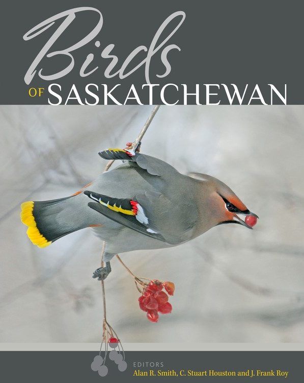 Oiseaux de la Saskatchewan : un travail d’amour