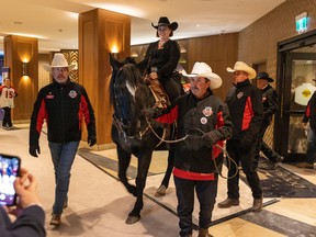 Tuffy Nuff, guided by members of the Calgary Grey Cup Committee, arrives at the DoubleTree by Hilton on Thursday evening in Regina. TROY FLEECE / Regina Leader-Post