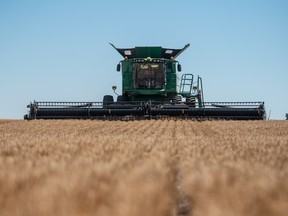 Tricia Dery cuts into a field of wheat as the 2022 harvest season begins for farmers across Saskatchewan. Photo taken in Saskatoon, SK on Monday, August 8, 2022.