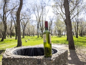 A staged image that includes a bottle of wine sitting on a garbage receptacle in Lakeshore Park for a story on legalizing alcohol consumption in public parks.