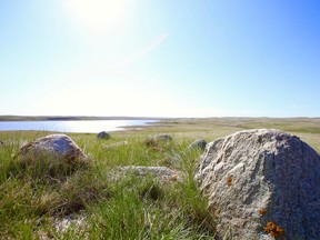 The Lonetree Lake property consists of 629 hectares of endangered prairie grasslands located one hour and 45 minutes from Regina, Saskatchewan, that is being protected by the Nature Conservancy of Canada. (NCC photo)