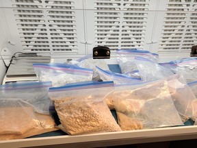 An investigation into a wanted Saskatchewan man led RCMP to Edmonton, where police made an arrest and seized more than 10 kilograms of fentanyl.