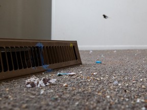 Sask. Housing Corp. provides tour of social housing properties in Saskatoon Damage by previous tenants is left in one of the Saskatchewan Housing Corporation’s low-income housing units. Photo taken in Saskatoon, SK on Tuesday, January 24, 2023.