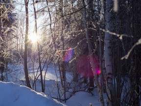 Carla Thomas froze to death in these woods, behind the La Ronge Health Centre.
