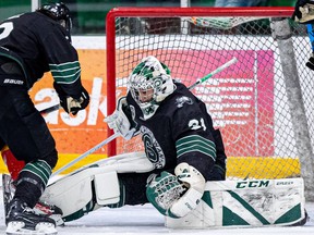 U of S Huskies' goalie Roddy Ross made 29 saves in Canada West men's hockey action against the Mount Royal University Cougars at Merlis Belsher Place.