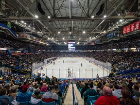 Record Crowd Electrifies SaskTel Centre, Blades Fall Short to Pats -  OurSports Central