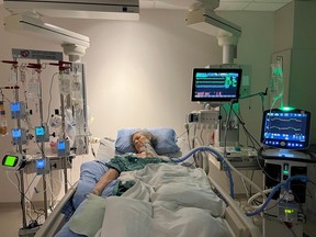 MaryAnn Harris was in the ICU on life support, breathing with a ventilator, after a tick bite transmitted the rare but increasingly common Powassan virus, a potentially deadly pathogen that caused encephalitis.