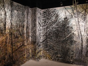 Rewilding, an exhibition of collaborative works by Cristine Andrew Stuckel and Diana Roelens is on display at BAM Gallery.
