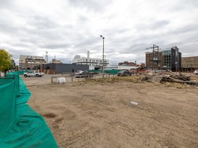 The lot between 24th and 25th Street on Second Avenue is the proposed site of the new downtown library.