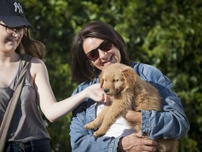Education is key to successfully introducing a new pet to your household. Dr. Karen Machin, associate professor with the Western College of Veterinary Medicine (WCVM), recommends puppy and kitten classes, as well as obedience training for dogs. Photo: WCVM/ Christina Weese
