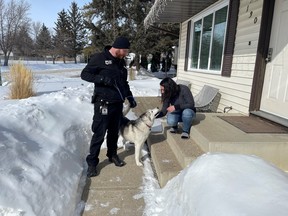 In 2022, Saskatoon Animal Control officers were able to return 276 dogs and 106 cats to their homes because their owners had licensed their pets. Photo: City of Saskatoon