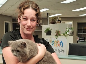 Thanks to his microchip, Walter White was reunited with his owner Nikky Barks at the Saskatoon SPCA. The cat had run away over three years ago and was unable to find his way home. PHOTO: Saskatoon SPCA/ Facebook