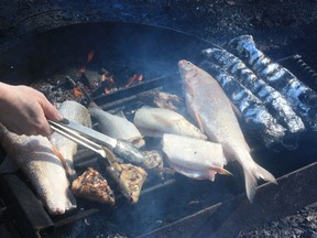 By the shore of the still frozen Yellowknife River, more than a dozen people gather, preparing fish over a crackling fire in Yellowknife on Tuesday, April 18, 2023.