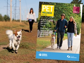Pet Wellness is published by The StarPhoenix in partnership with the City of Saskatoon.