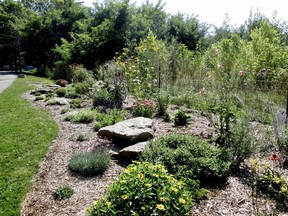 A pollinator garden such as this features plants favoured by pollinators. (file photo)