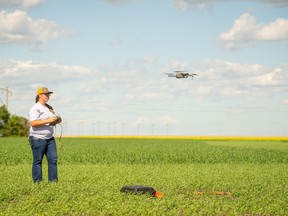 University of Saskatchewan graduate student Kaylie Krys flies a drone above a Saskatchewan crop. (Photo: Chris Hendrickson)