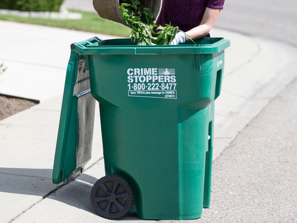 letter-missed-green-cart-pickup-leaves-rotten-stink-in-saskatoon-the