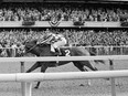 FILE - Ron Turcotte hangs on as Secretariat romps along the final stretch just before the finish line and a victory in the 105th running of the Belmont Stakes at Belmont Park in Elmont, N.Y., June 9, 1973.
