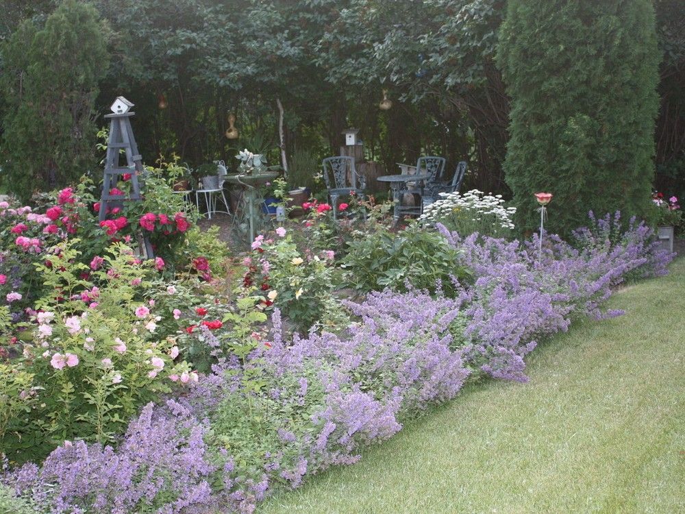 Perennials for Saskatchewan gardens can be hardy and pretty The Star