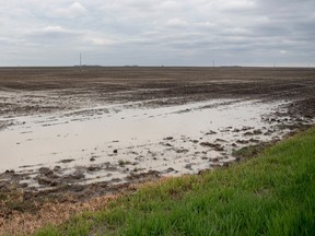 water on an agricultural field