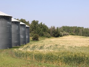 drought in Saskatchewan