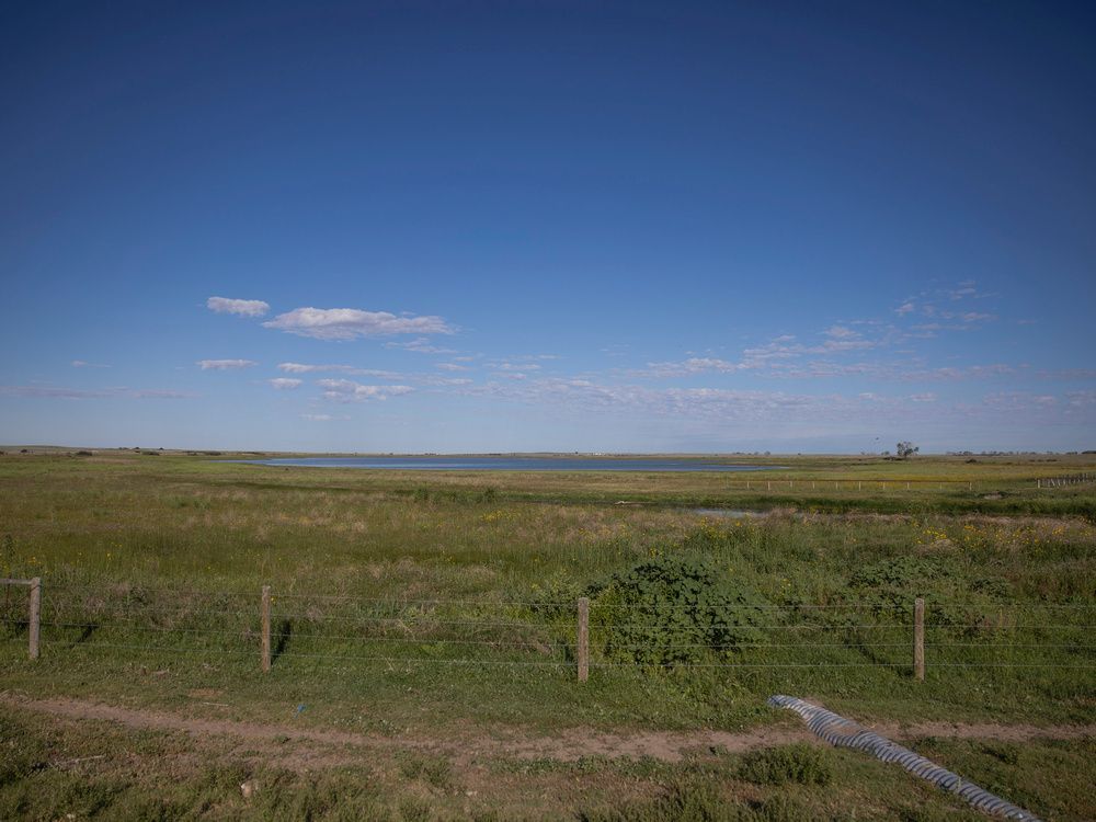 This summer was a global record breaker for the highest heat ever