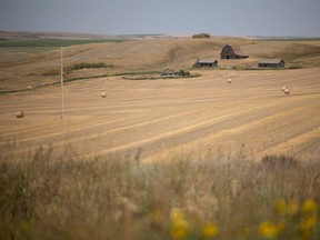 harvest in Saskatchewan