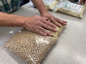 Agrocorp Saskatchewan peas