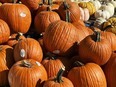 Weather vagaries this year caused by climate change have turned the Halloween pumpkin harvest spooky. Pumpkins are displayed outside of a grocery store in Mount Prospect, Ill., Friday, Sept. 15, 2023.