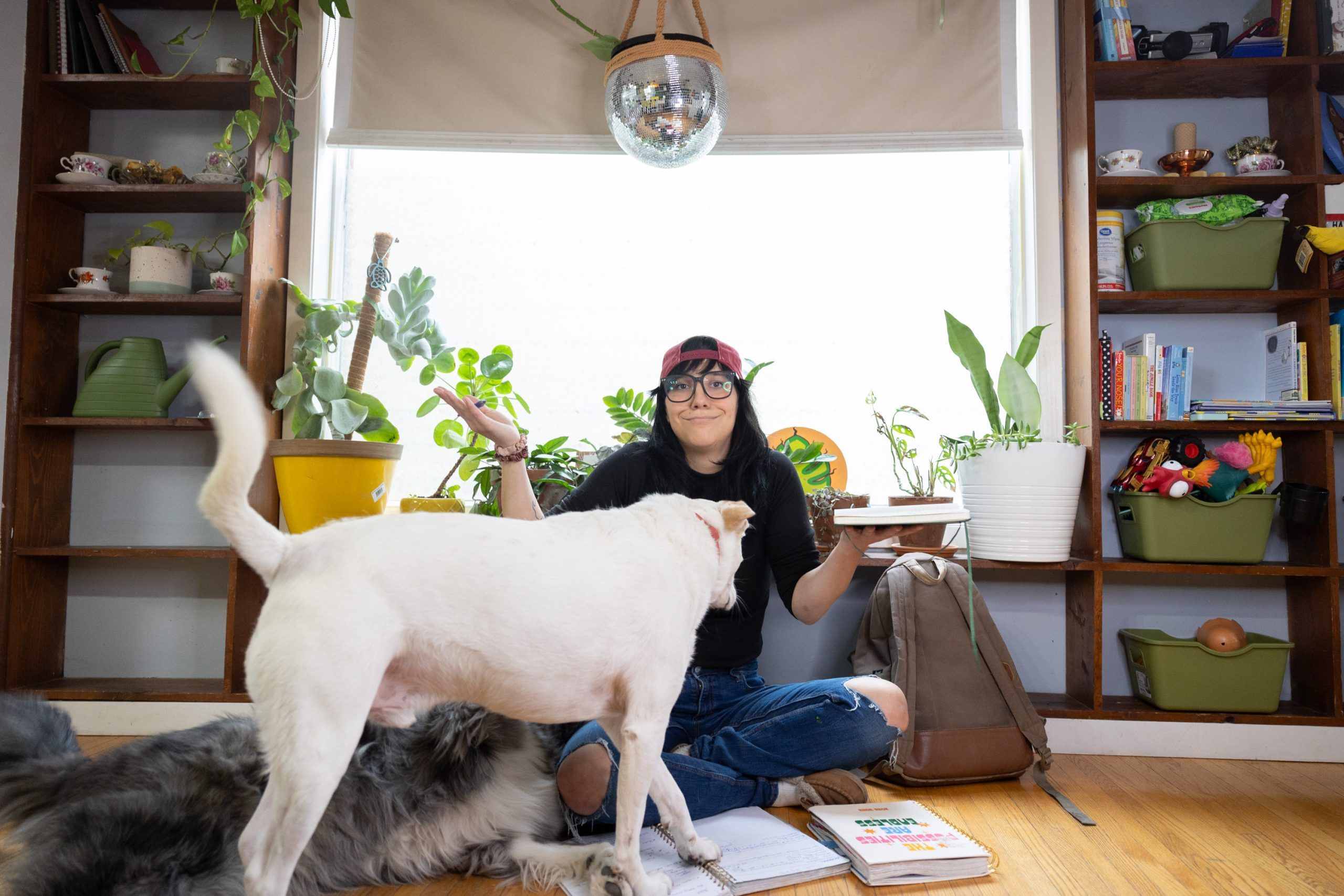 Dakota Ray Hebert works on new comedic material while her dogs Mr. Bean and Lieutenant Dan swarm her for attention. Photo taken in Saskatoon, Sask. on Tuesday, November 7 2023. (Michelle Berg / Saskatoon StarPhoenix)