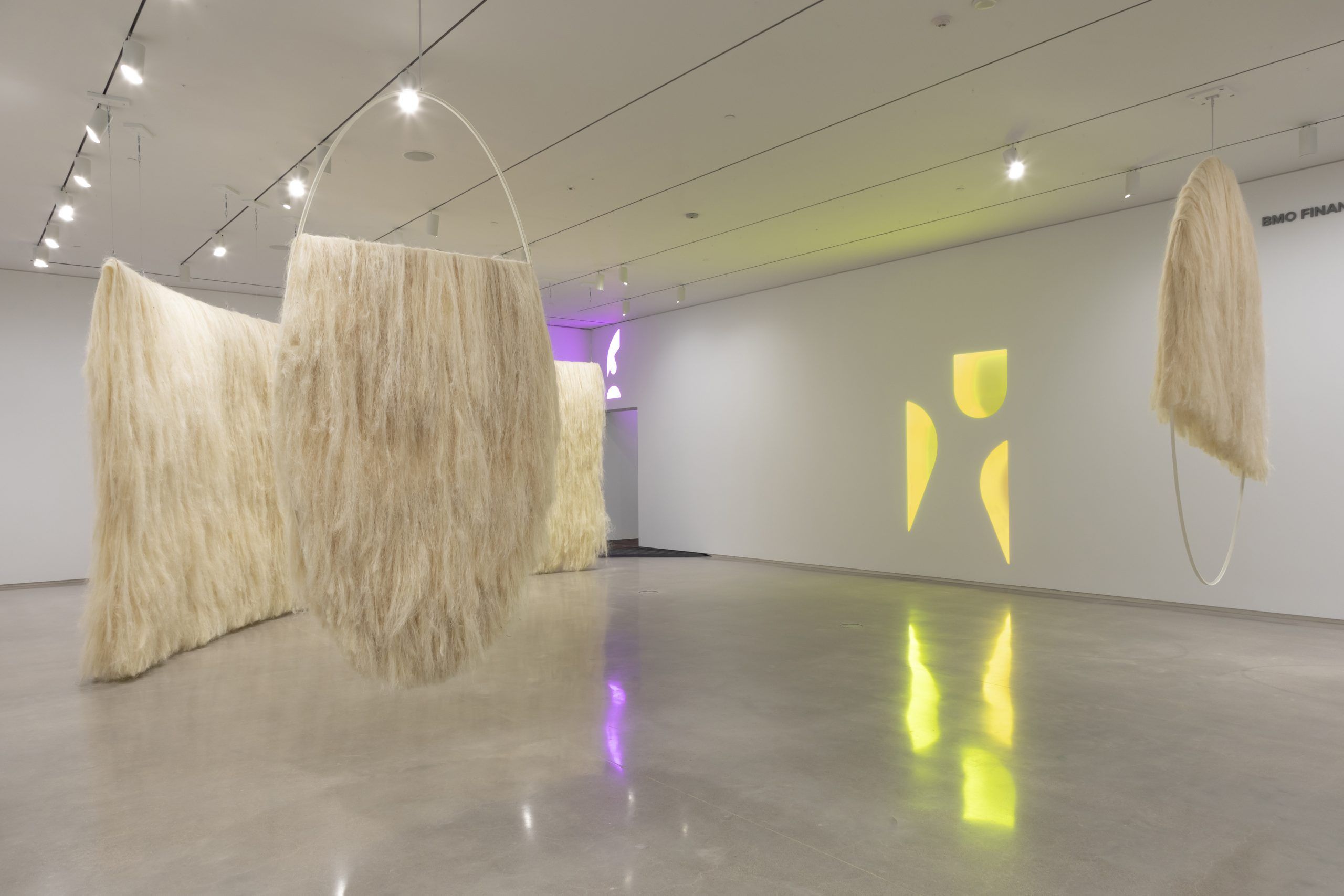 'Elliptical Field' by Kapwani Kiwanga, on display as part of Remediation, installation view, Remai Modern, Saskatoon. &copy; ADAGP, Paris Photo: Carey Shaw.