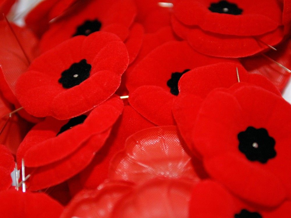 Remembrance Day lapel poppies are seen in Regina, Sask., in October of 2011.