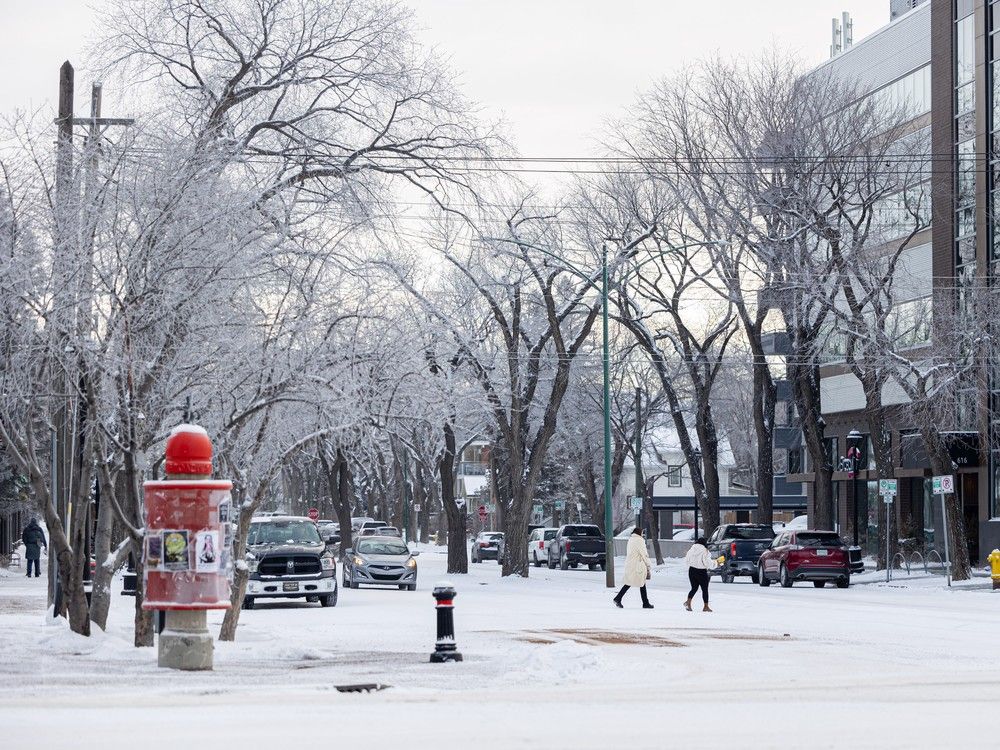 Cold snap hits, City of Saskatoon activates emergency response