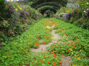 The Grand Allee in Claude Monet Garden.