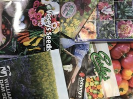 seed catalogues