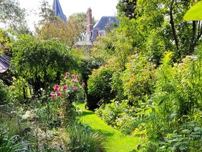 Jardin d'Angelique