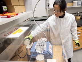 Post-doctoral fellow Hongxiu Wang demonstrates how she would set up a cryogenic vacuum extraction experiment, where she would extract water from soil and plants, in a lab at the Department of Soil Science in the University of Saskatchewan Agriculture building.