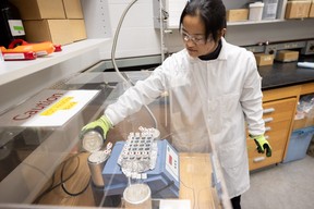 Post-doctoral fellow Hongxiu Wang demonstrates how she would set up a cryogenic vacuum extraction experiment, where she would extract water from soil and plants, in a lab at the Department of Soil Science in the University of Saskatchewan Agriculture building.