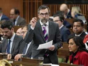 Minister of Environment and Climate Change Steven Guilbeault rises during question period, in Ottawa on Feb. 26, 2024.