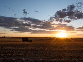 Combine at sunset